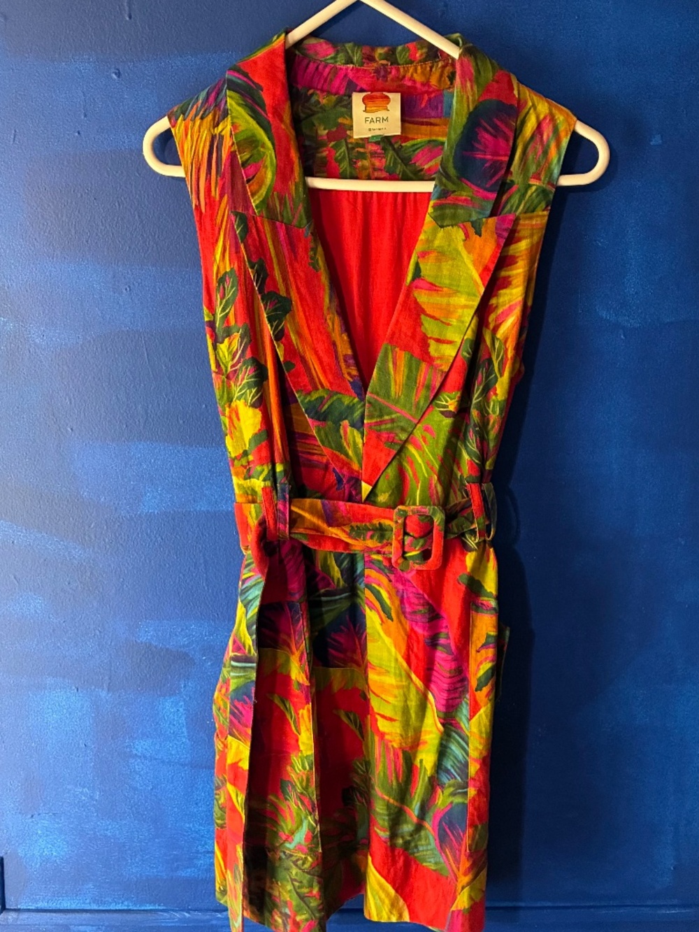 Farm Rio Multi-colored Dress